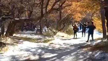 El Chaltén: Un puma acechó a una familia cordobesa y el video se volvió viral en las redes sociales. (Foto: Captura de video) El Chaltén: Un puma acechó a una familia cordobesa y el video se volvió viral en las redes sociales. (Foto: Captura de video)