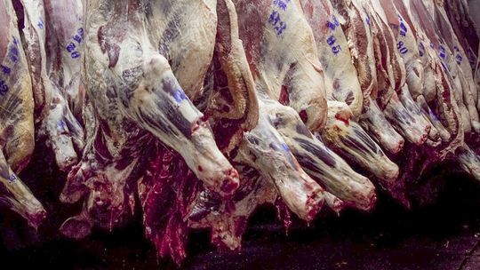 Carne: Advierten que la apertura de importaciones de Trump perjudicará especialmente a la Argentina