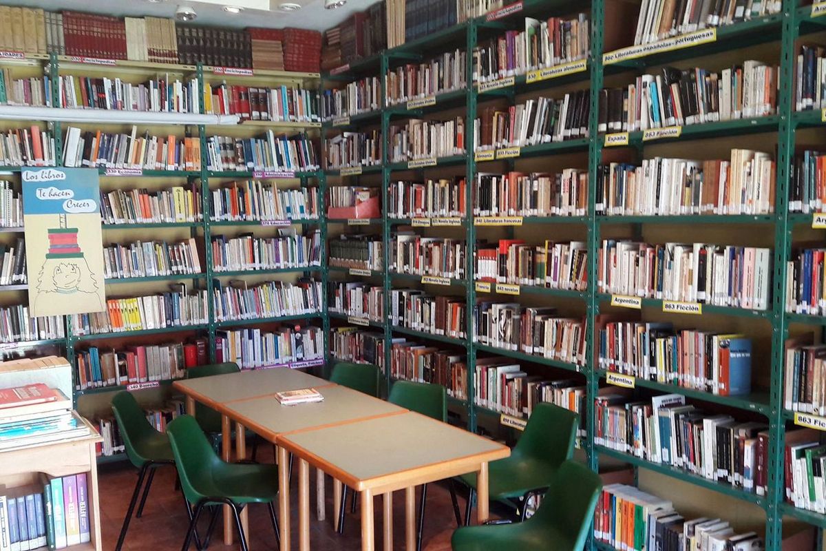 En Diputados la Comisión de Cultura defiende las bibliotecas populares