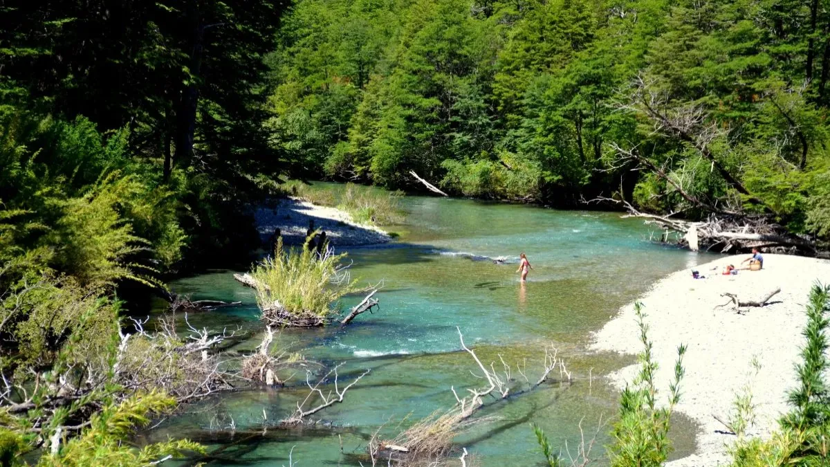 El Parque Nacional Nahuel Huapi ofrece senderos espectaculares como el Paso de las Nubes, donde la selva valdiviana y los lagos crean una experiencia inolvidable. El Parque Nacional Nahuel Huapi ofrece senderos espectaculares como el Paso de las Nubes, donde la selva valdiviana y los lagos crean una experiencia inolvidable.