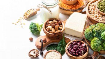 chau carne: estas proteinas vegetales pueden reemplazarla chau carne: estas proteinas vegetales pueden reemplazarla