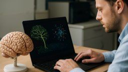 El cerebro es todo un tema. El cerebro es todo un tema.