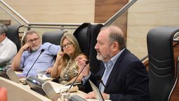 Ficha Limpia perfeccionada por el concejal Carlos Cardozo.