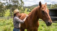 Voluntarios cuidarán caballos en Australia en 2027 a cambio de alojamiento y tours.