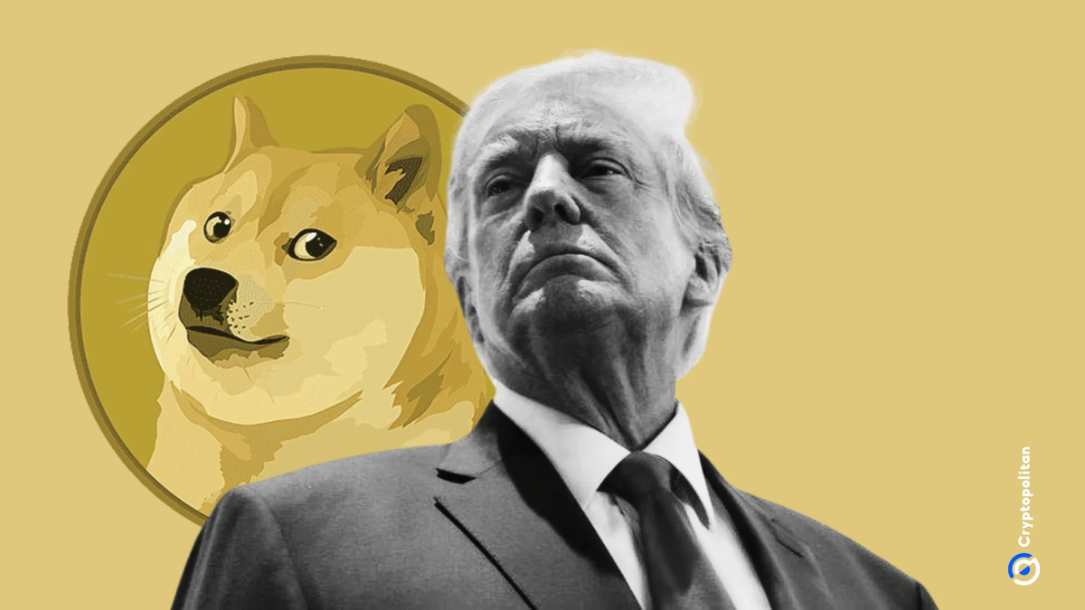 El invento de Donald Trump y Elon Musk con DOGE terminó en despidos masivos, agencias desmanteladas y un Estado desordenado. Perdieron más de lo que ahorraron: Foto: Cryptopolitan El invento de Donald Trump y Elon Musk con DOGE terminó en despidos masivos, agencias desmanteladas y un Estado desordenado. Perdieron más de lo que ahorraron: Foto: Cryptopolitan