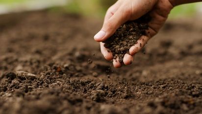 Día Mundial del Suelo: Malas prácticas que podrían dejarnos sin alimentos en 2050