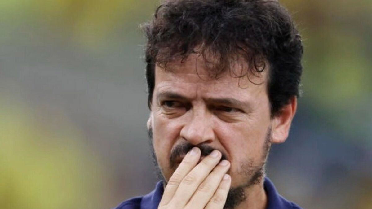 Fernando Diniz fue despedido de la Selección de Brasil. Fernando Diniz fue despedido de la Selección de Brasil.