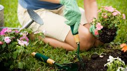 ¿Por qué la jardinería es buena para tu cerebro?