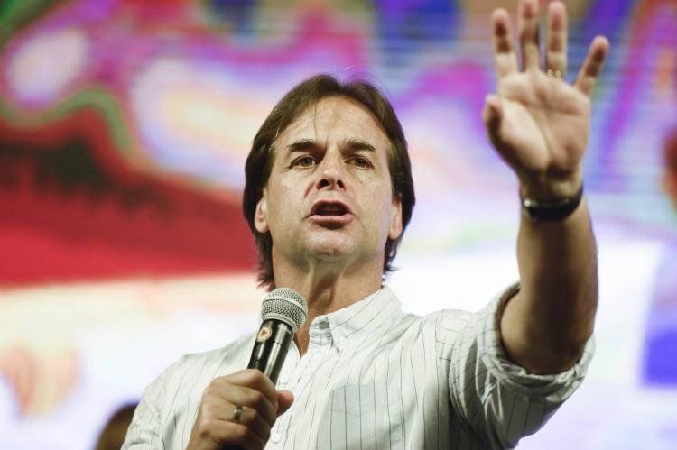 lacalle_0.jpg