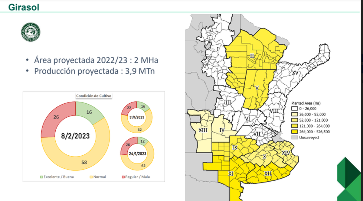 De los cultivos de gruesa, el girasol es el que menos impacto negativo muestra por la sequía.