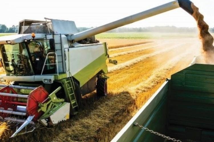 macro_expoagro.jpg