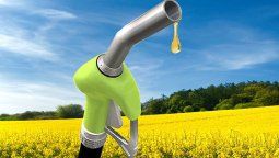 altText(El Gobierno celebra que Europa reabre su mercado al biodiésel argentino)}