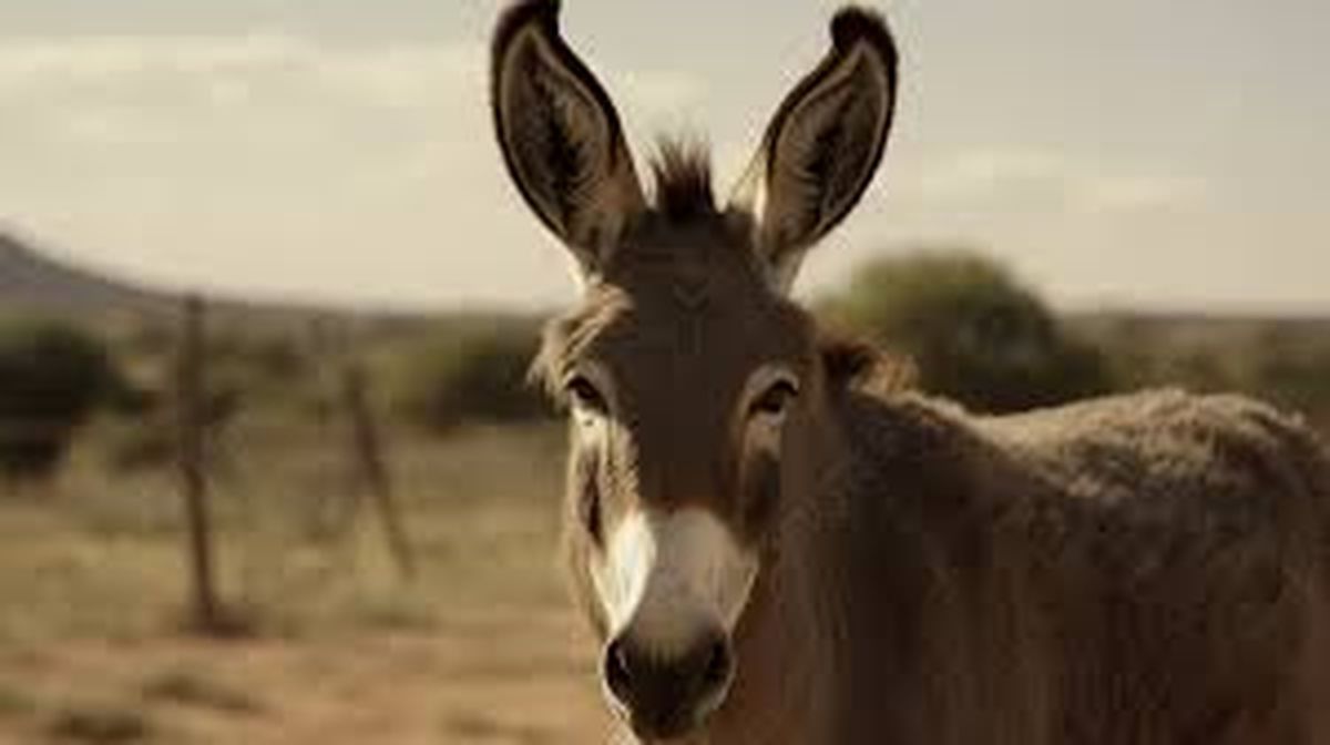 Directo a cubrir el juicio a Walter Bento para MDZ. Directo a cubrir el juicio a Walter Bento para MDZ.