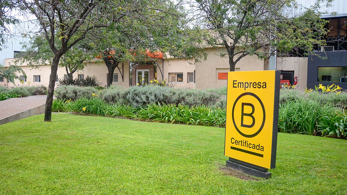 El Mes de las Empresas B celebra su jornada a nivel mundial y Argentina tiene motivos debido a que es el décimo país con más compañías certificadas. El Mes de las Empresas B celebra su jornada a nivel mundial y Argentina tiene motivos debido a que es el décimo país con más compañías certificadas.