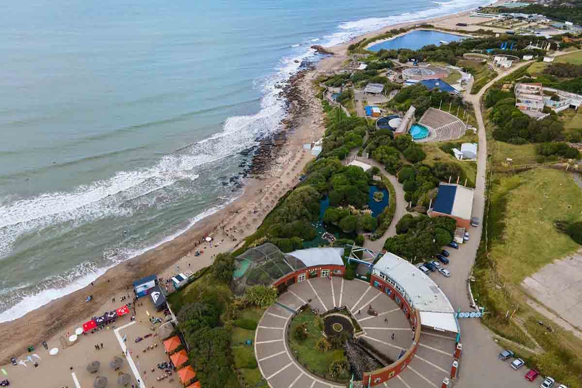 aquarium-mar-del-plata