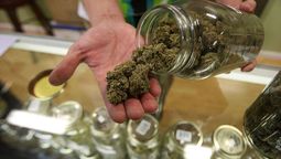 altText(Proponen legalizar la marihuana en Argentina: Autocultivo, venta libre y amnistía para condenados)}