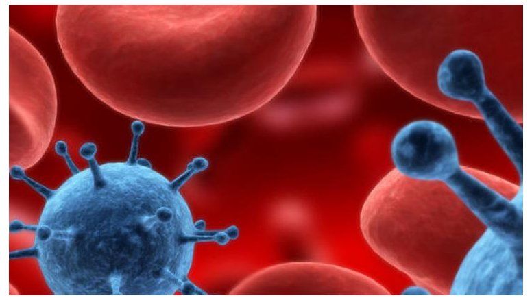 Descubren nuevo virus similar al HIV