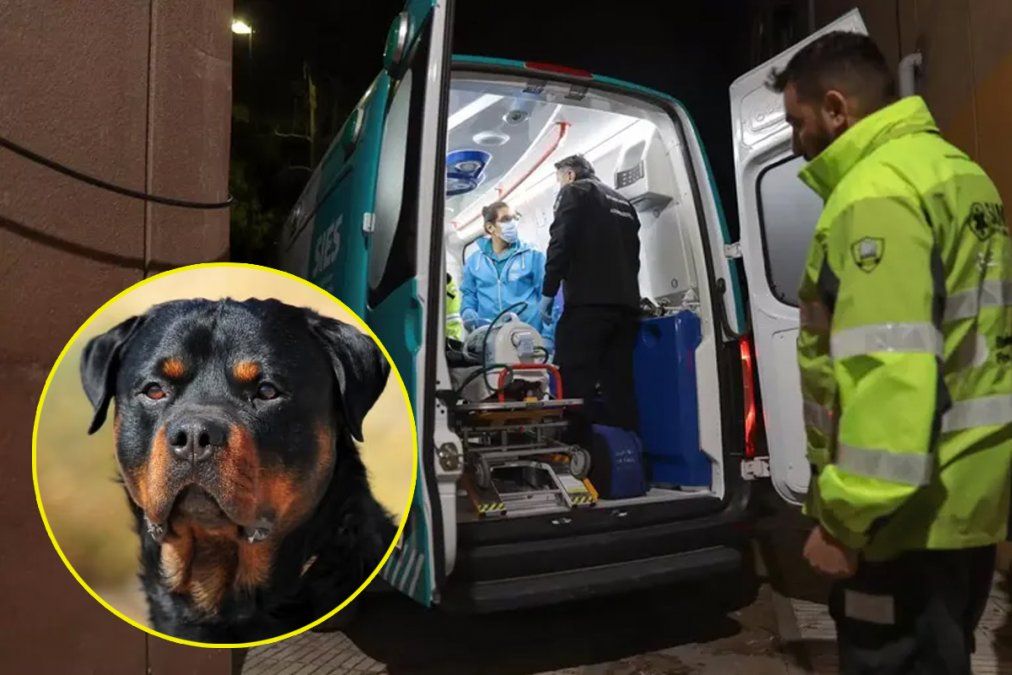 El niño de Bahía Blanca. víctima de rottweilers.