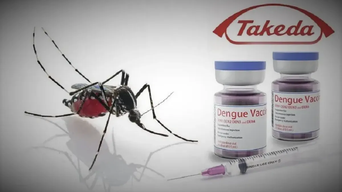 Los casos de dengue aumentan en Rosario y Santa Fe. Los casos de dengue aumentan en Rosario y Santa Fe.