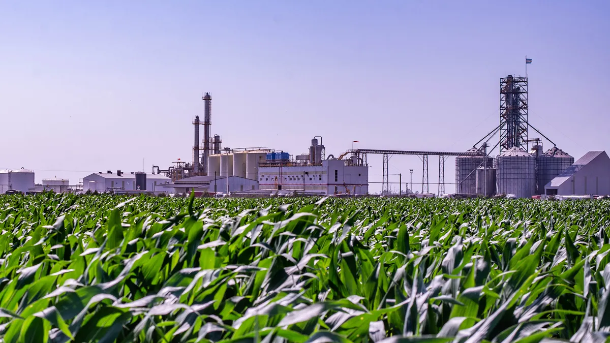 La Ley ómnibus dejó afuera a los biocombustibles. La Ley ómnibus dejó afuera a los biocombustibles. 