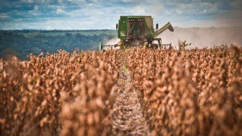 Sigue cayendo el precio de la soja. Sigue cayendo el precio de la soja.