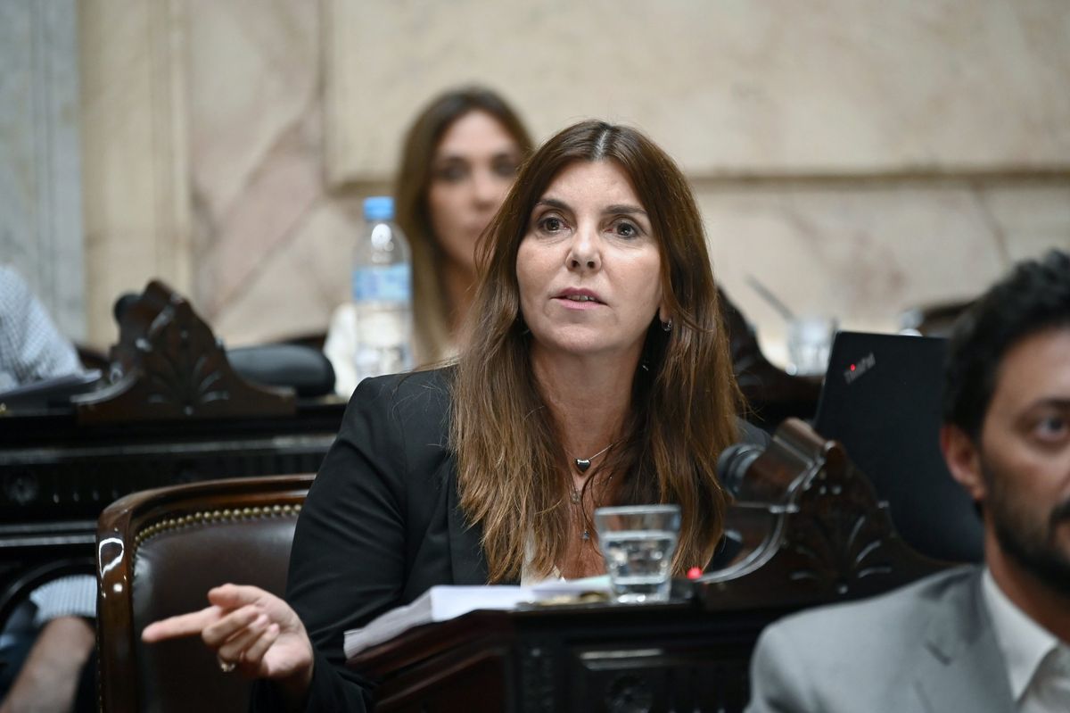 Germana Figueroa Casas, diputada por Santa Fe procupada por el avance del narcotráfico.