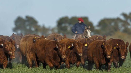 El campo no frena. El campo no frena.