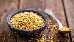 Fenogreco: Una hierba que está entre las más recomendadas para bajar la glucosa. Fenogreco: Una hierba que está entre las más recomendadas para bajar la glucosa.