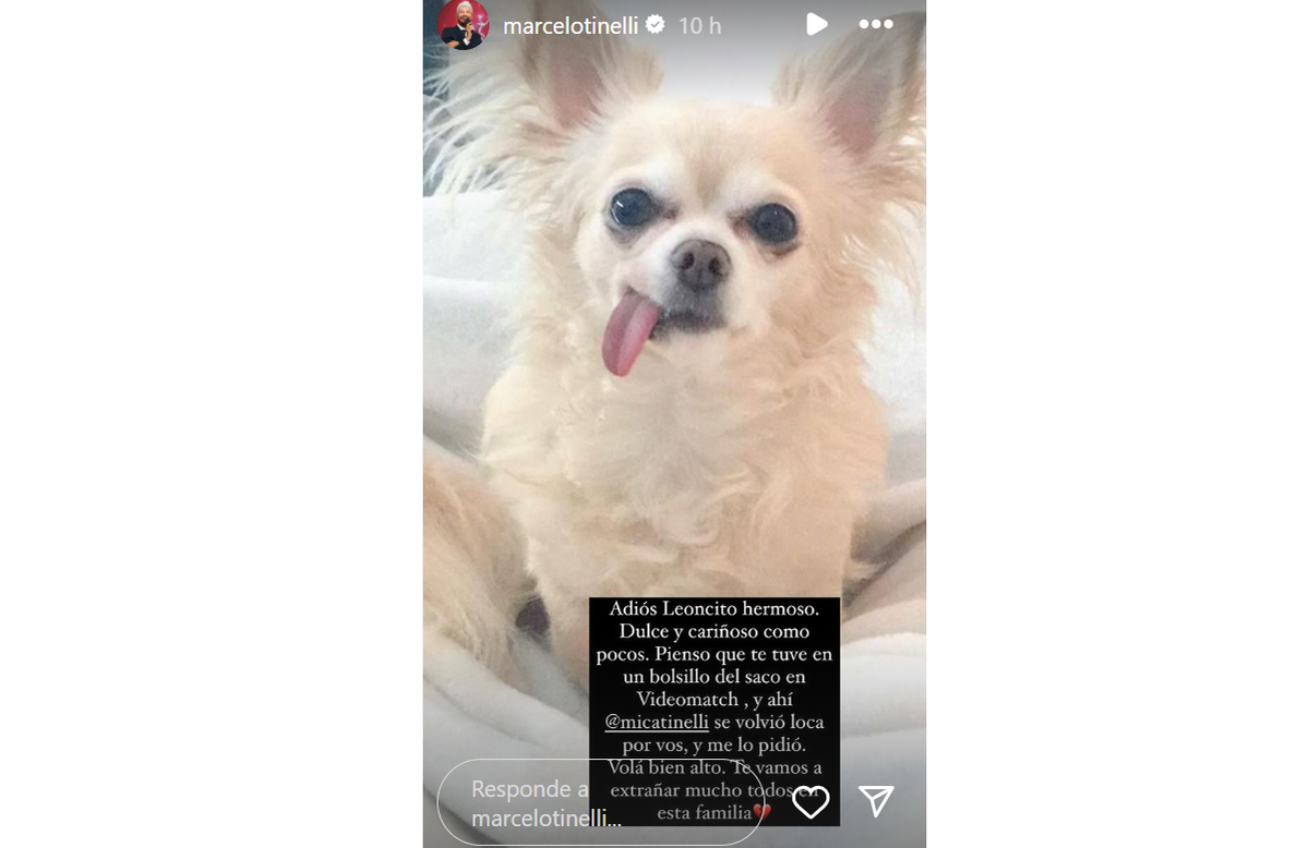 Marcelo Tinelli hundido en tristeza: La dolorosa despedida a su mascota. (Foto: Instagram @marcelotinelli) Marcelo Tinelli hundido en tristeza: La dolorosa despedida a su mascota. (Foto: Instagram @marcelotinelli)