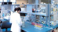 Laboratorios en USA trabajan sobre un fármaco para combatir el colesterol. Laboratorios en USA trabajan sobre un fármaco para combatir el colesterol.