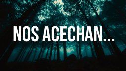La teoría del Bosque Oscuro: ¿Por qué no encontramos extraterrestres?