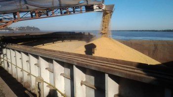 previsible: la soja tuvo el mayor derrumbe en 50 anos y advierten por el dolar previsible: la soja tuvo el mayor derrumbe en 50 anos y advierten por el dolar