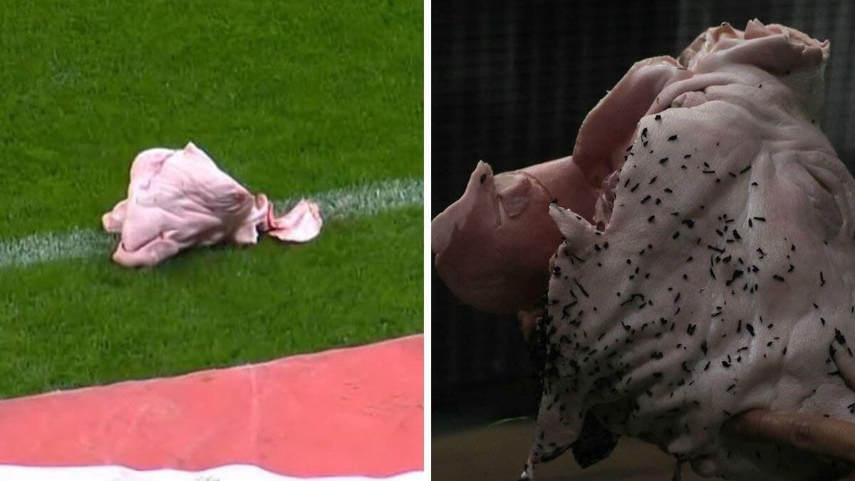 Corinthians, dirigido por Ramón Díaz, se quedó con el clásico Paulista frente al Palmeiras pero los hinchas le arrojaron una cabeza de cerdo al campo juego. Corinthians, dirigido por Ramón Díaz, se quedó con el clásico Paulista frente al Palmeiras pero los hinchas le arrojaron una cabeza de cerdo al campo juego.