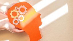 El estudio muestra que el cerebro tiene mucha más flexibilidad de lo que se pensaba.