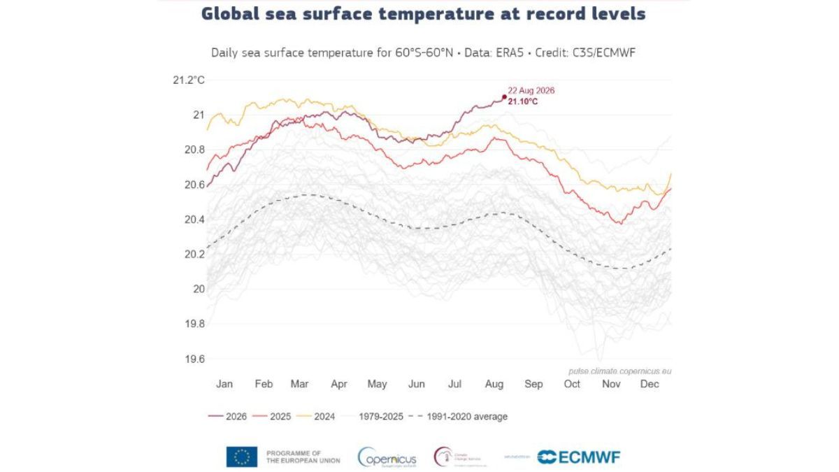 Temperatura superficial diaria del mar (°C) promediada sobre el océano global extrapolar (60°S–60°N) para 2024 (amarillo), 2025 (naranja) y 2026 (rojo), según el conjunto de datos ERA5 del Servicio de Cambio Climático de Copernicus (C3S). Imagen: C3S/ECMWF. Temperatura superficial diaria del mar (°C) promediada sobre el océano global extrapolar (60°S–60°N) para 2024 (amarillo), 2025 (naranja) y 2026 (rojo), según el conjunto de datos ERA5 del Servicio de Cambio Climático de Copernicus (C3S). Imagen: C3S/ECMWF.