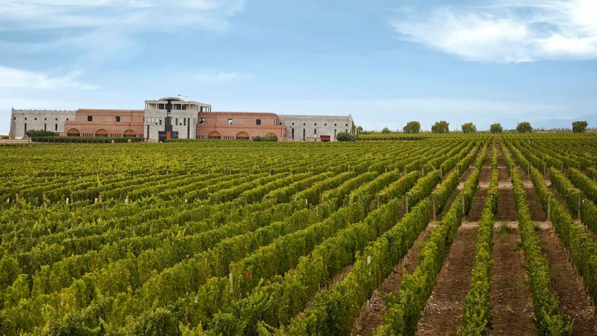 Una de las bodegas mejores puntuadas y recomendadas por los turistas en Google. Foto: Vinómanos