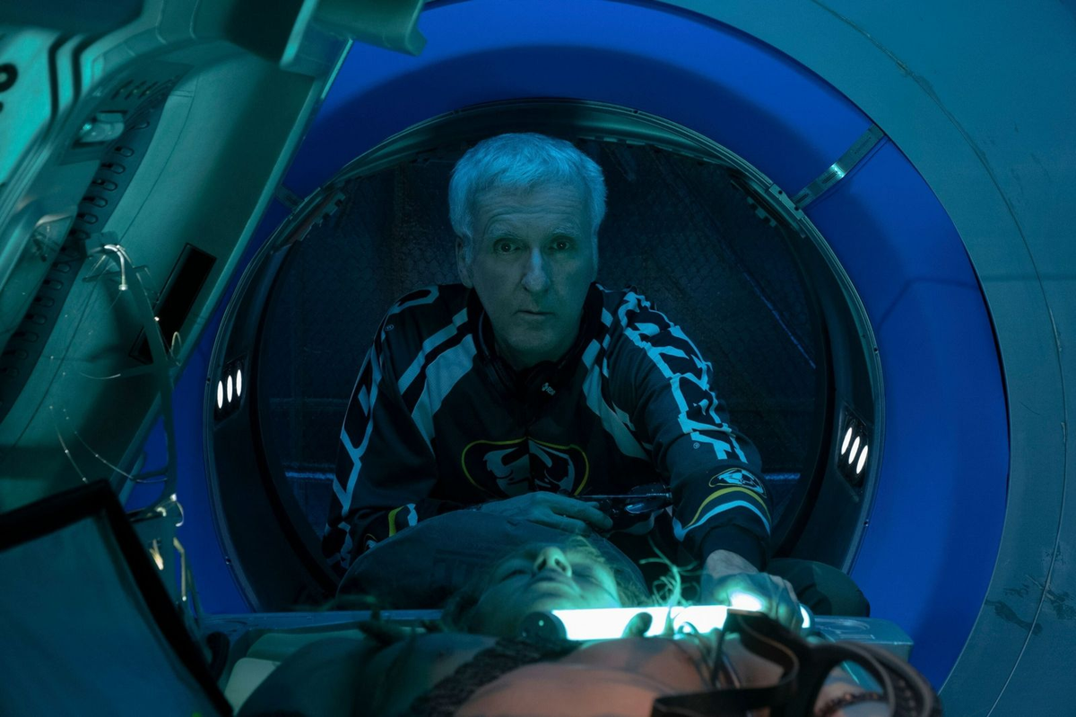 James Cameron siempre fue fanático y defensor del medioambiente. James Cameron siempre fue fanático y defensor del medioambiente. 