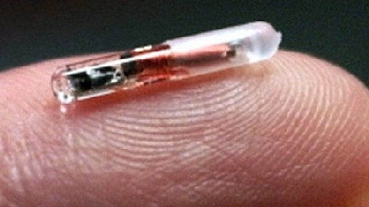 El chip bovino sólo le sirve a la AFIP