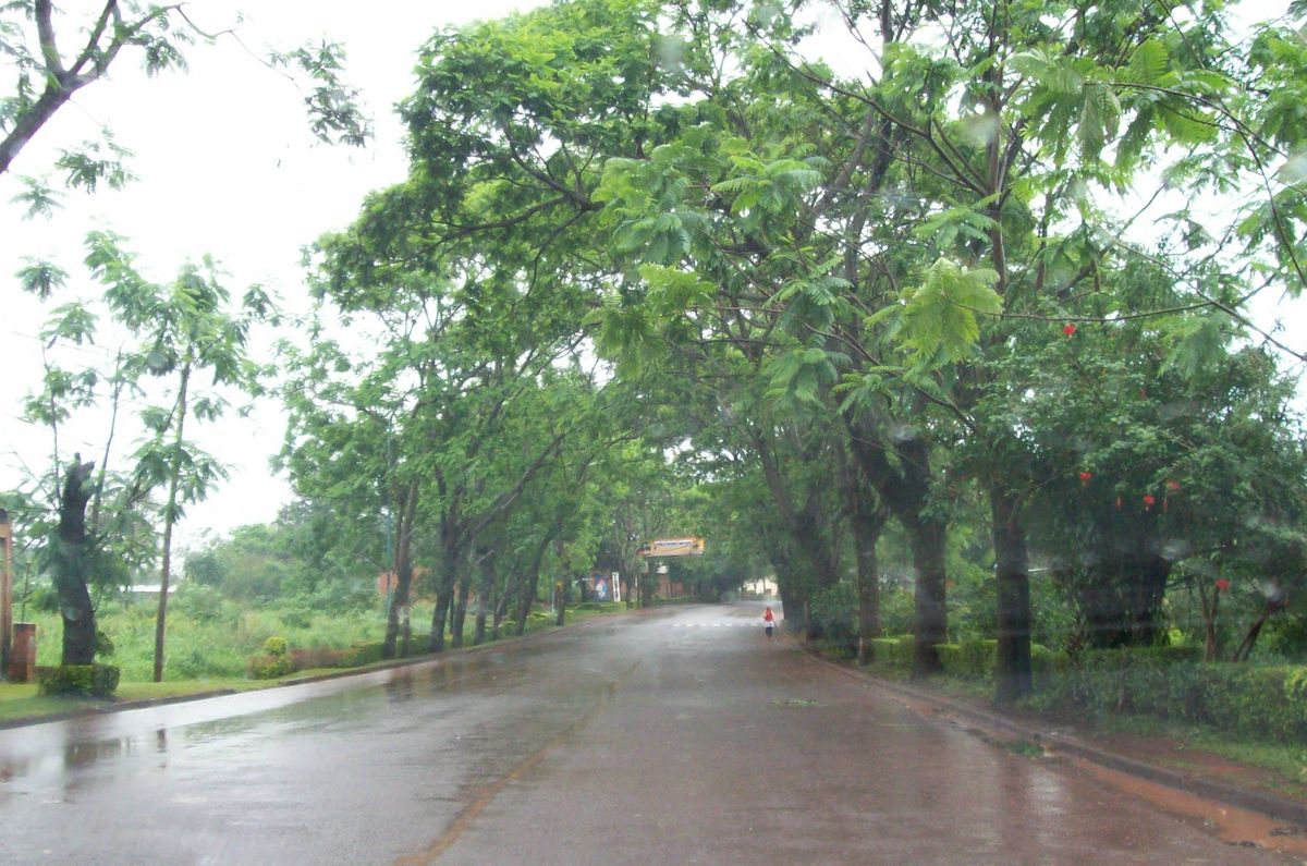 En el 2012, en Montecarlo (Misiones), se sancionó una ordenanza municipal que prohibió