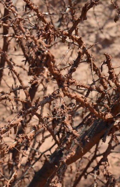 ¿'Chernobyl salteño'? La Justicia inspeccionó el pozo de Lomas de Olmedo por fluidos y gases