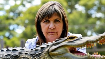 Patricia Bullrich: De los scanners en yacarés a los marinos paraguayos camuflados