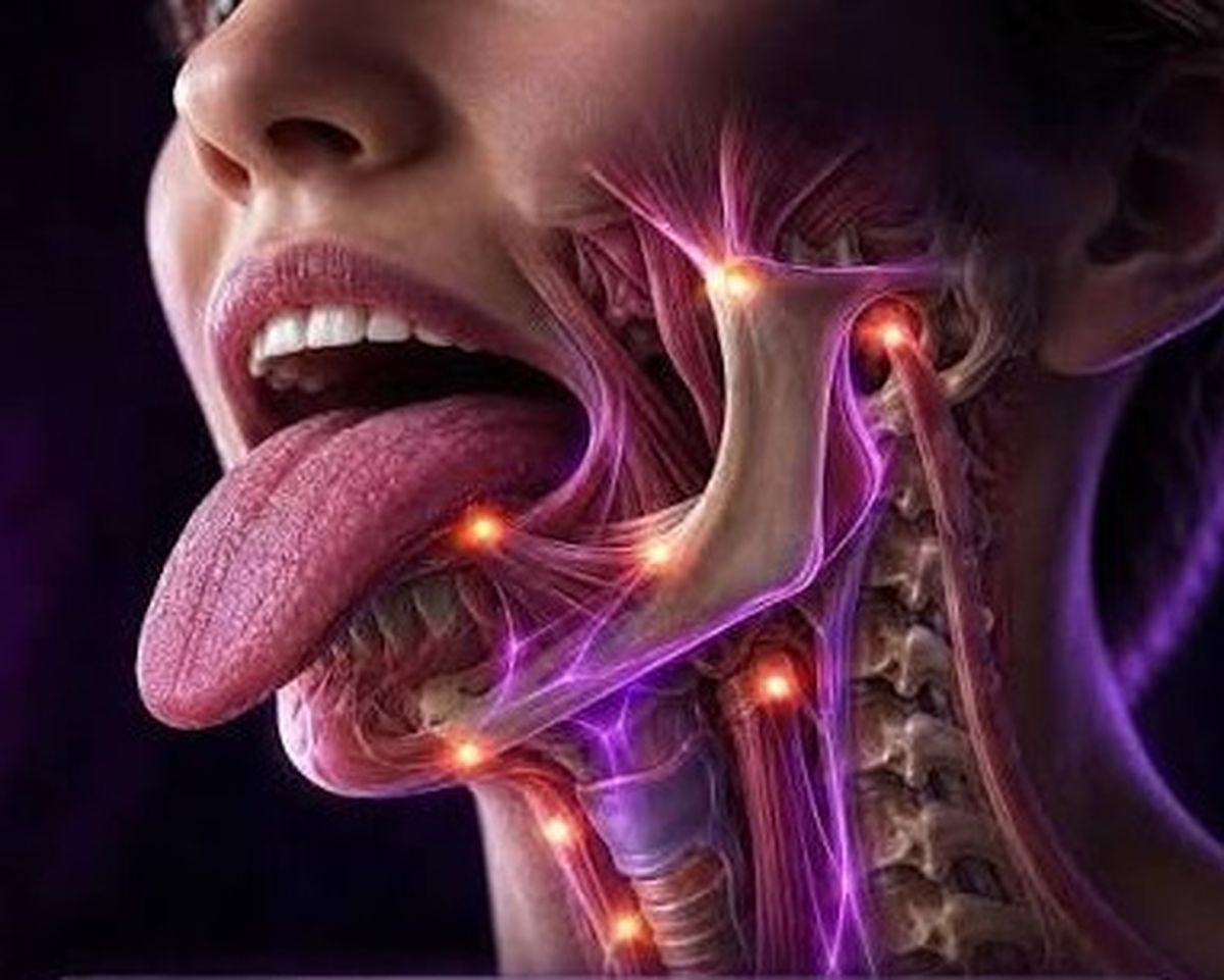 El adulto mayor recién transcurrida gran parte de su vida reconoce que su cerebro está conectado con todos los órganos del cuerpo a través de un nervio vago, que las redes viralizaron gracias a una fake news, según la cual sacar la lengua 40 segundos lo activaba para neutralizar el estrés.&nbsp;
