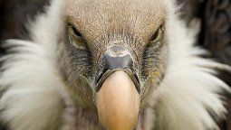 La Justicia de Estados Unidos dejó en firme el fallo contra la Argentina por la manera en que se renacionalizó Aerolíneas Argentinas.