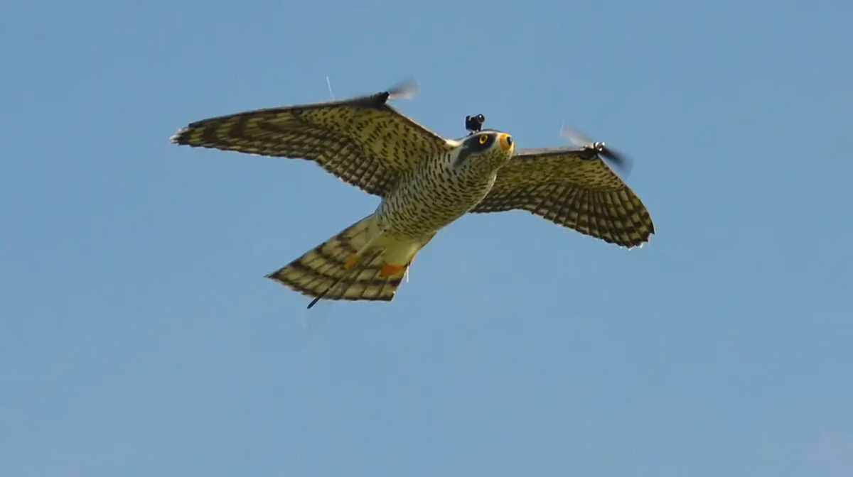 Los drones que imitan a los pájaros ya son una realidad en las guerras del siglo XXI.