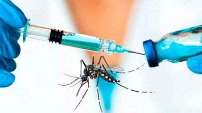 Vacuna contra el dengue: cuándo llega y cuánto va a costar