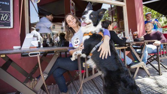 Rosario busca convertirse en Pet Friendly para favorecer el consumo y el turismo