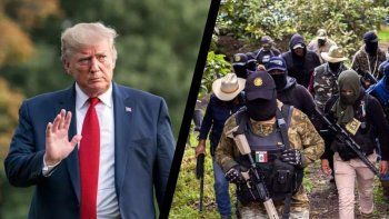 Donald Trump actuará contra