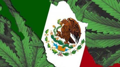La letra chica del fallo de la Corte Suprema: ¿Cómo impacta en la cuna del narcotráfico?