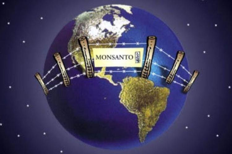 monsanto.jpg