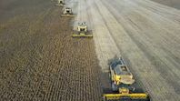 Según los analistas, un fenómeno de El Niño súper podría provocar una crisis mundial en los precios de los alimentos que se prolongaría hasta 2028. El ciclo climático amenaza las cosechas en todo el mundo, lo que agrava la inflación ya alimentada por la guerra de Irán, según The Guardian.